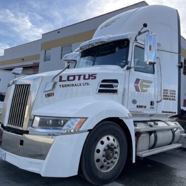 Shipping Logistics Assets - Lotus Terminals