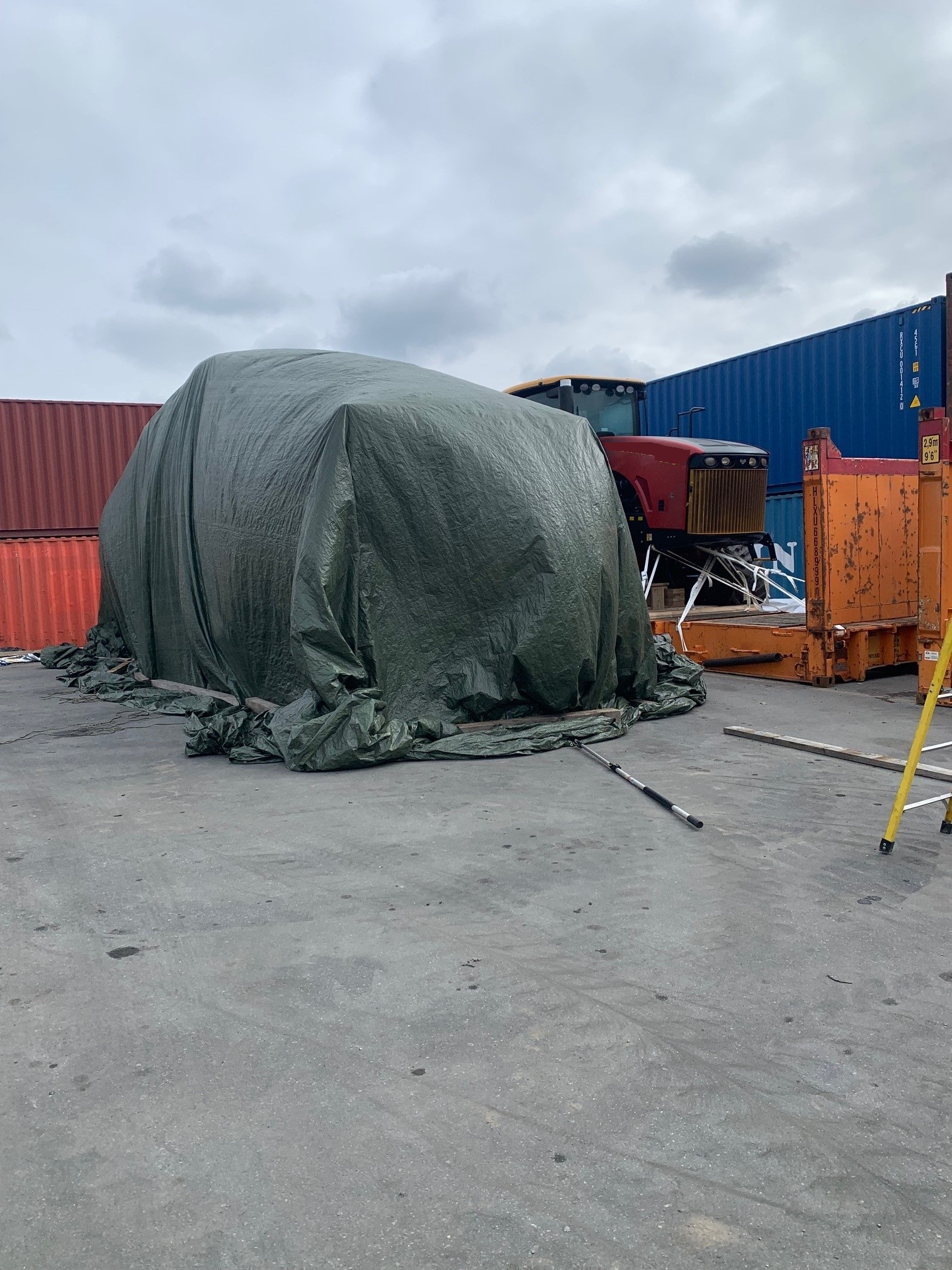 Lotus Heat Treatment 1