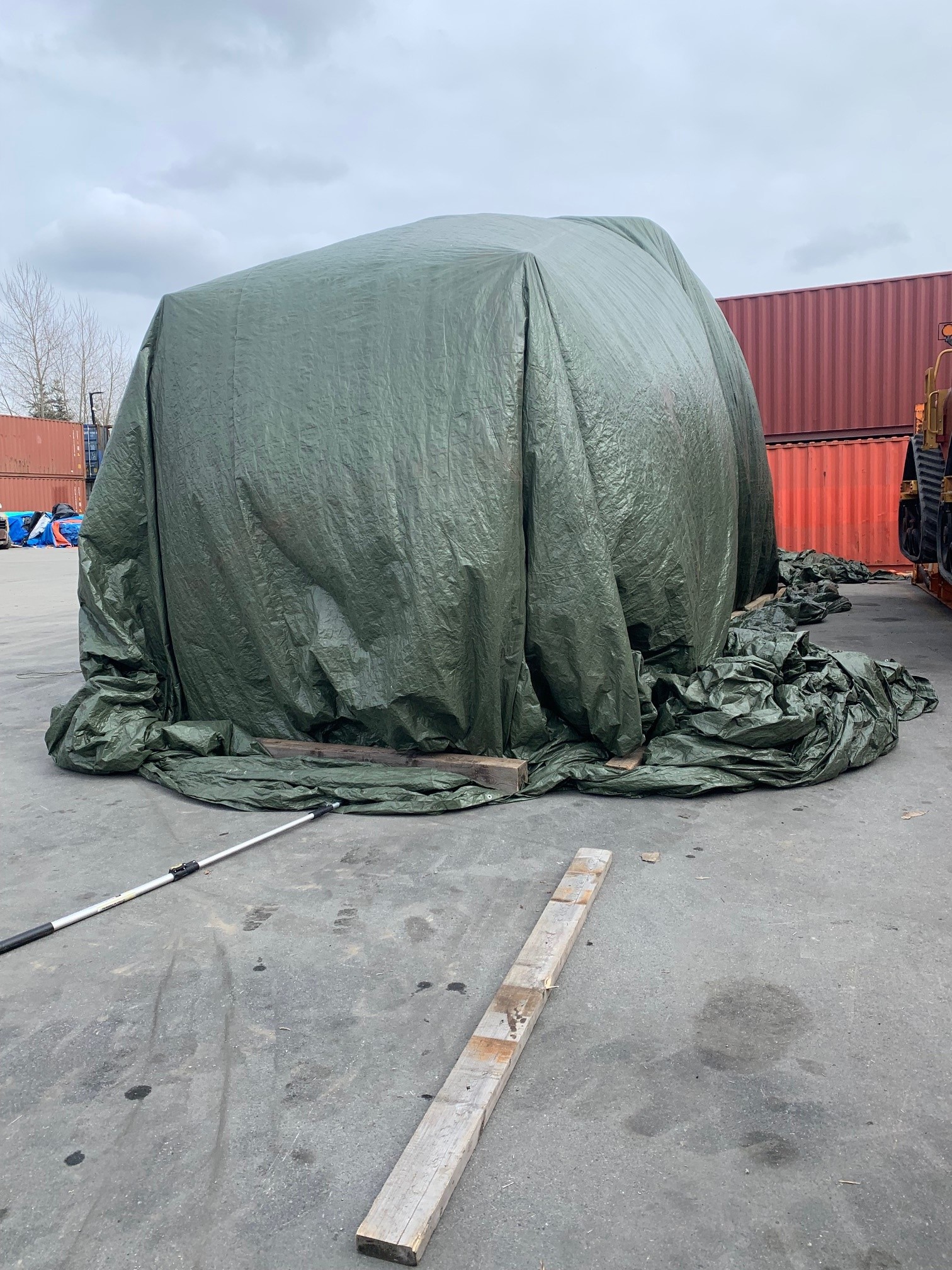 Lotus Heat Treatment 2