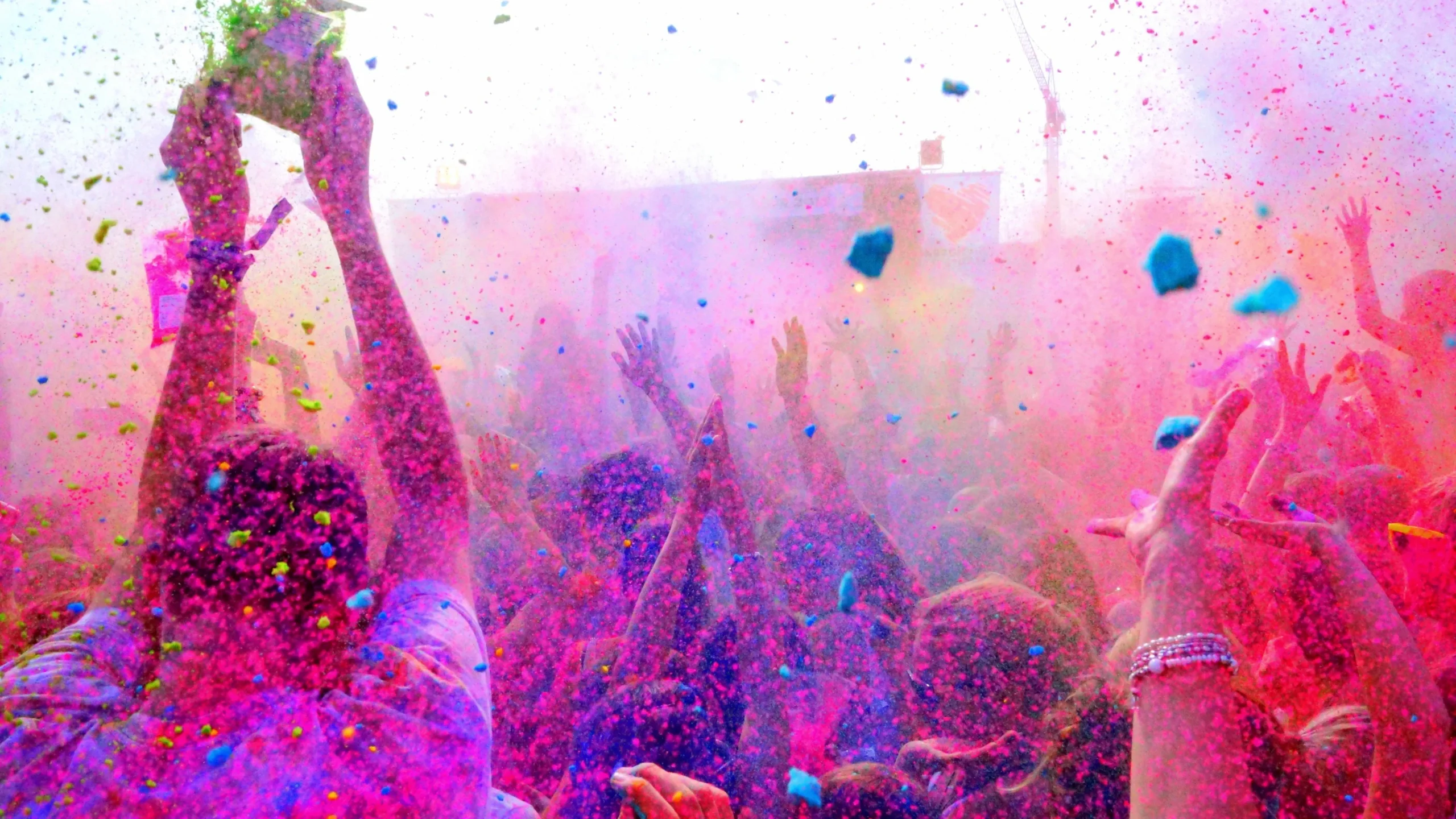 Lotus Terminals - Holi Rangavali 1